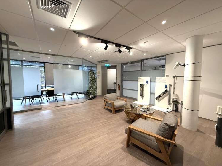 5 Wilkins Street Freemans Bay_2