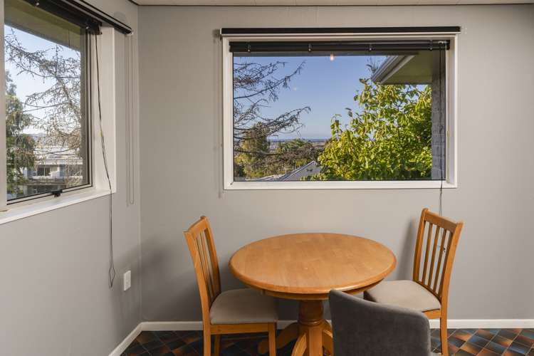 103 Stafford Street Dunedin Central_6