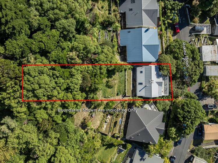 52 Rakau Road Hataitai_14