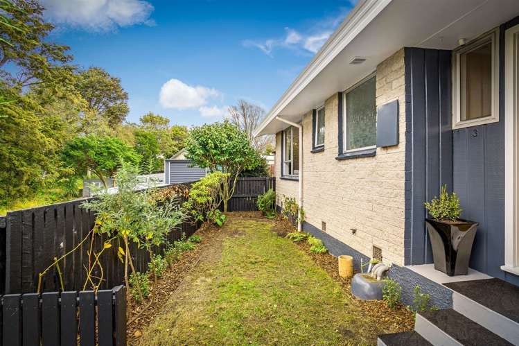 3 Meredith Street Addington_15