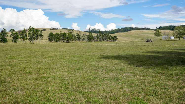 2586 State Highway 2 Maramarua_23