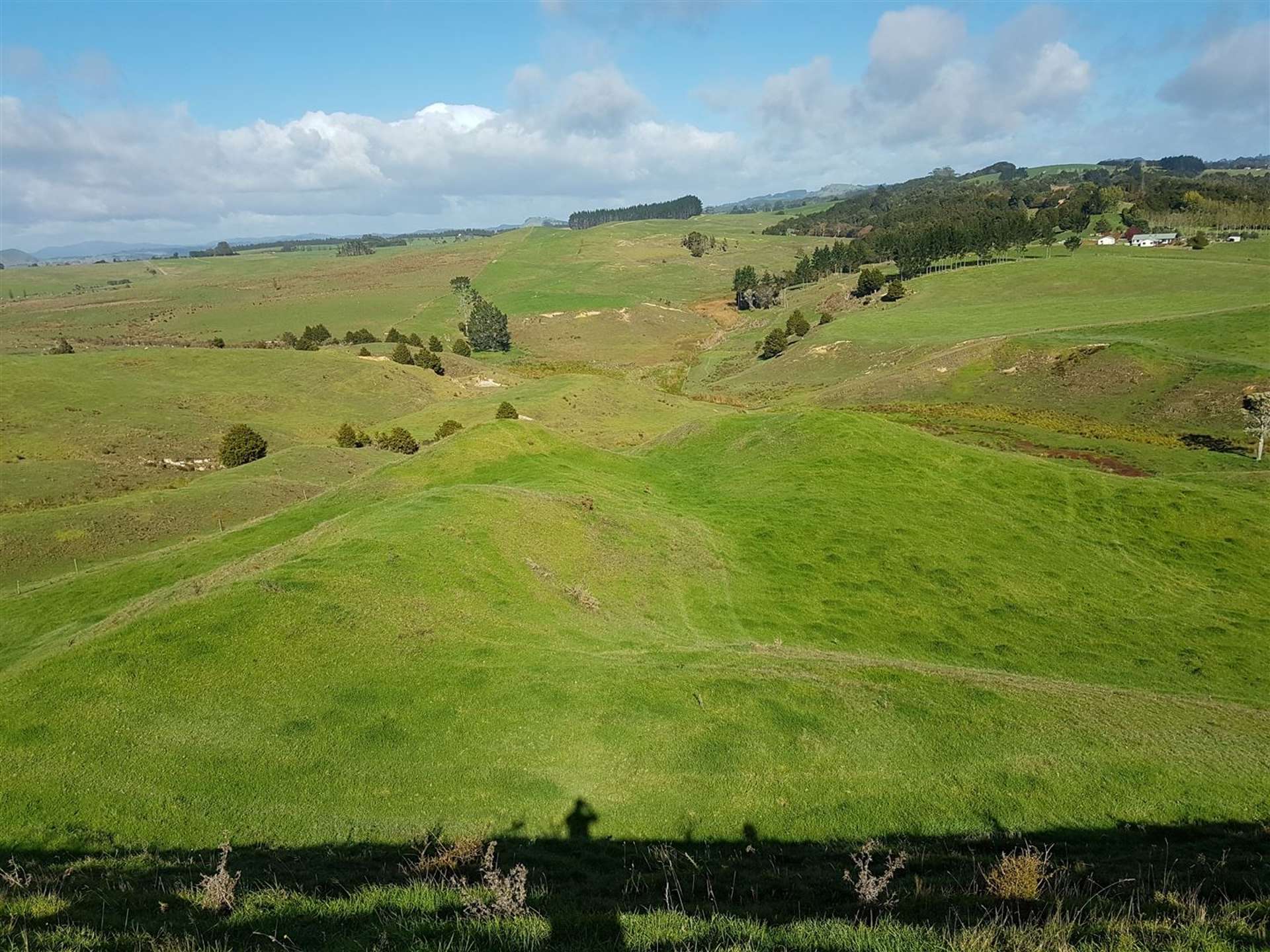 Okokako Road Waimate North_0