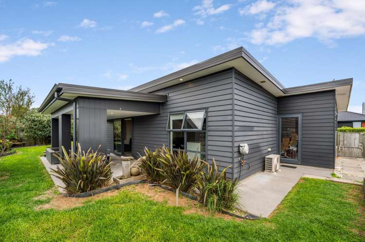 3 Allen Way Te Puke_2