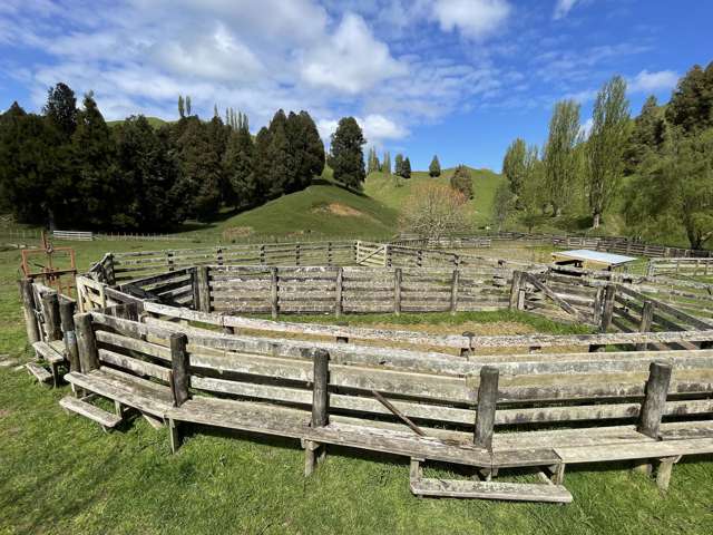 592 Waitewhena Road Ohura_3