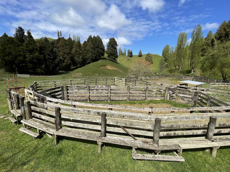 592 Waitewhena Road Ohura_3