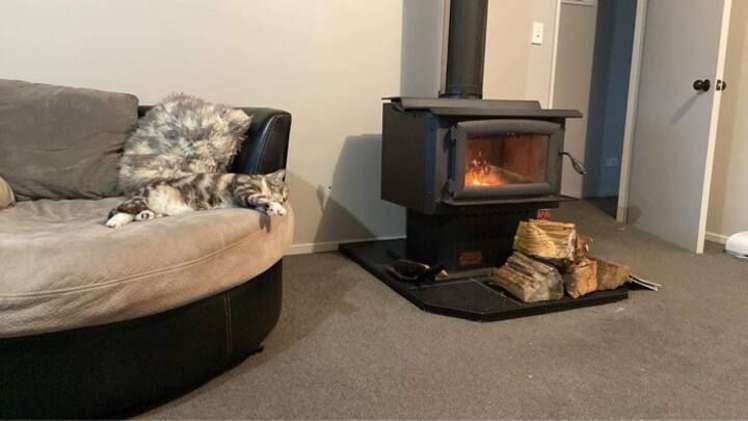 30 Kennedy Street Geraldine_5