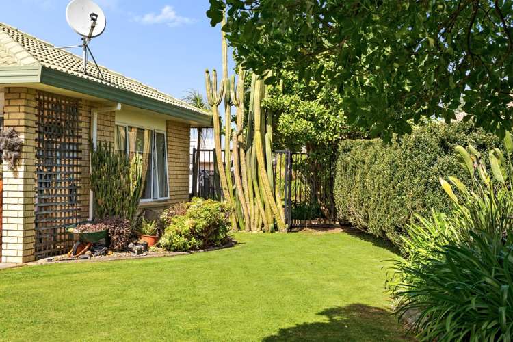 17 Appaloosa Place Papamoa_17