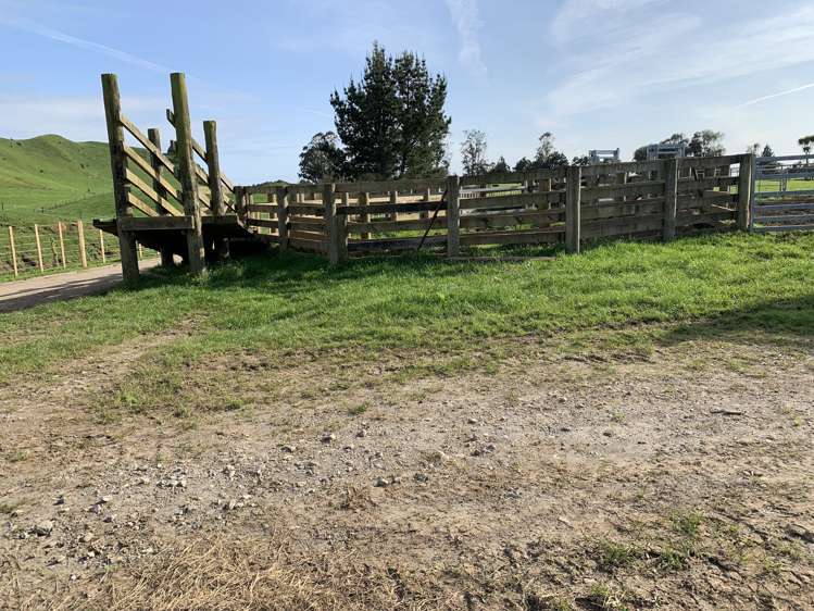 895 Bird Road Stratford_9