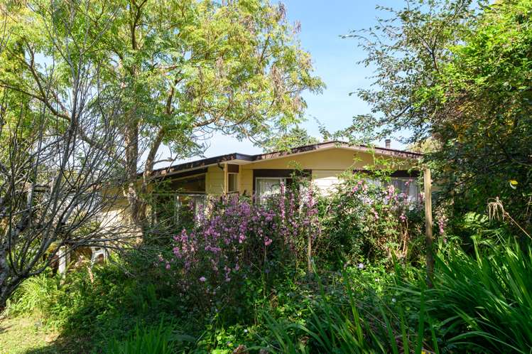 12 Lavery Place Sunnynook_17