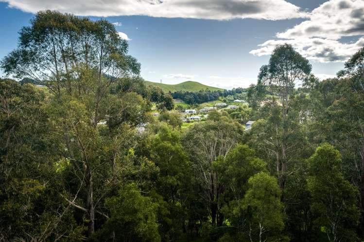 19 Ridgeway Terrace Taradale_9