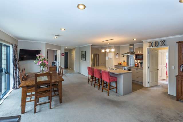 17 Donatello Drive Rolleston_3