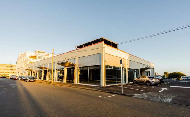 Ground Floor 93 Dominion Rd Mount Eden_4