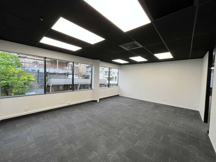 9A Hargreaves Street Freemans Bay_4