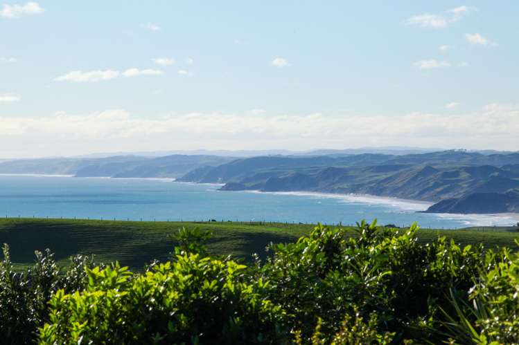 668 Te Hutewai Road Raglan_18