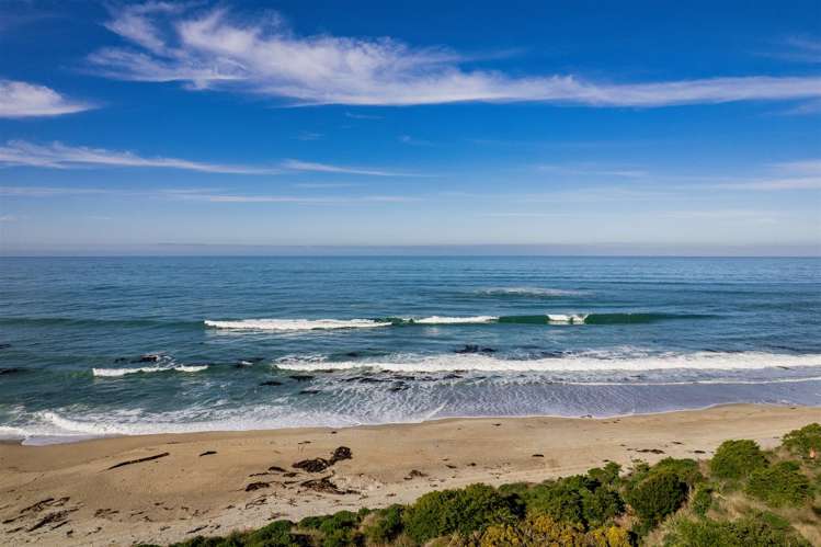 31 Toko Mouth Domain Road Milton_30