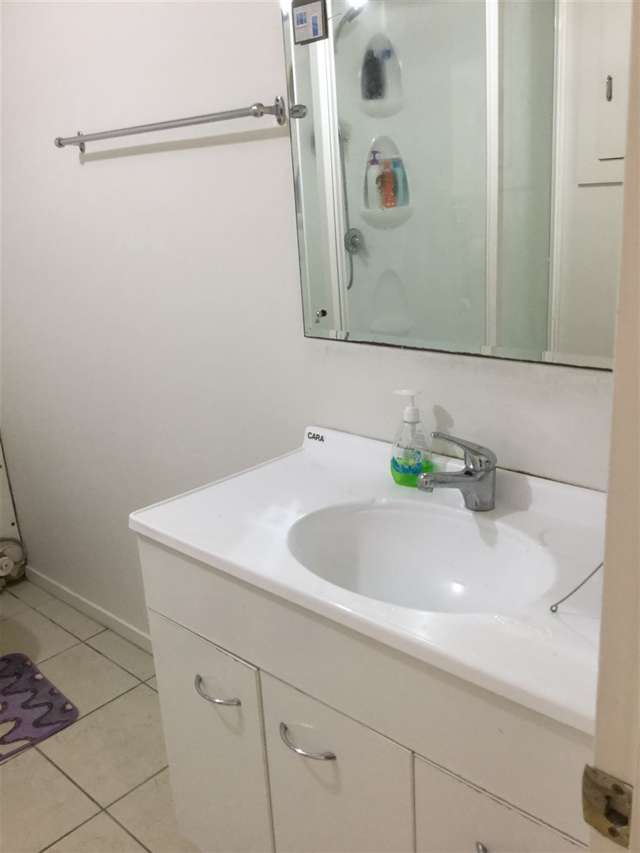 22 Littlejohn Street Hillsborough_4