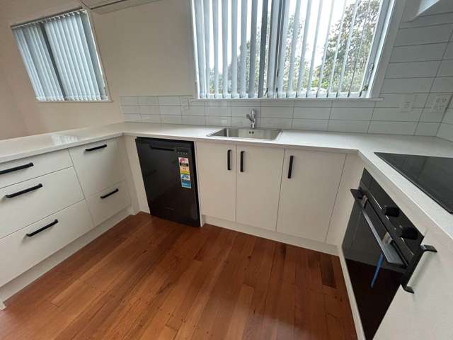 17 Clinton Avenue Te Atatu Peninsula_3