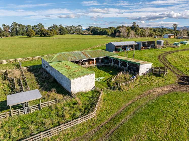 326 Cornwall Road East Taratahi_5