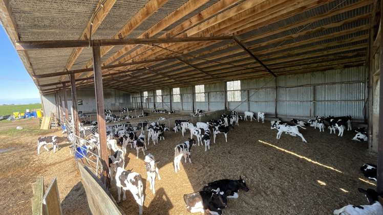 426 Argyle Otahuti Road Waianiwa_18