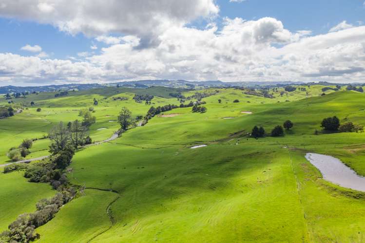 Inkster Road Maromaku_6