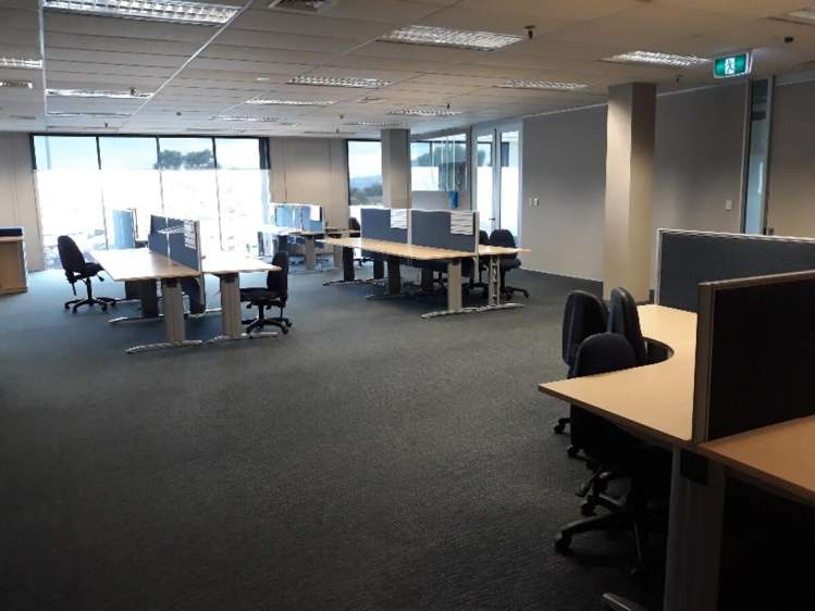 85 The Esplanade Petone_5