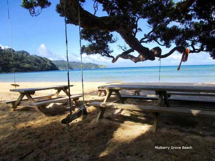 352 Shoal Bay Road Great Barrier Island_6