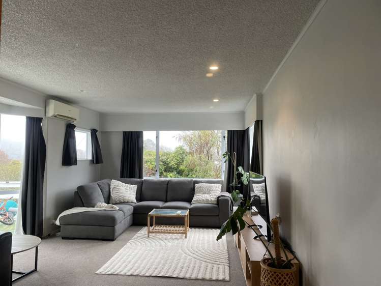 22a Hine Road 10629_5