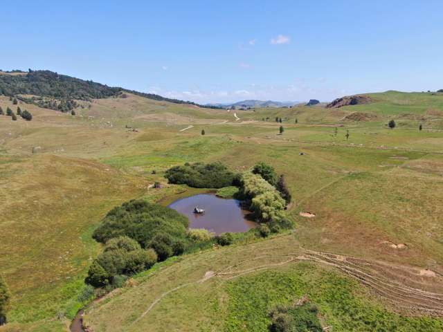 Kahuwera Road Piopio_3