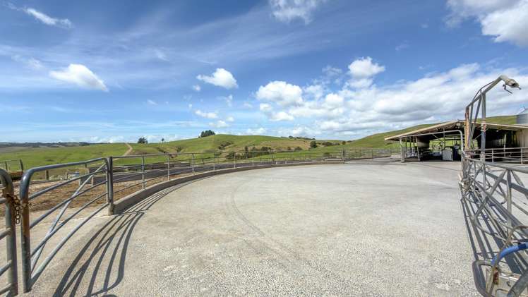 528 Monument Road Maramarua_20