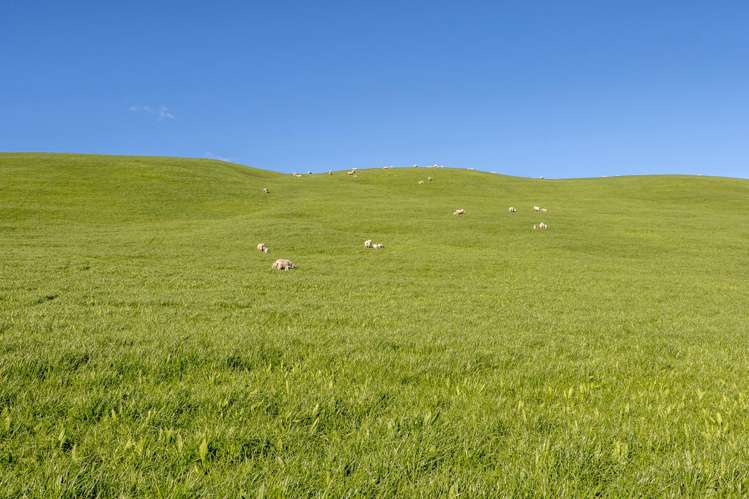 10 Riversleigh Road Glentunnel_17