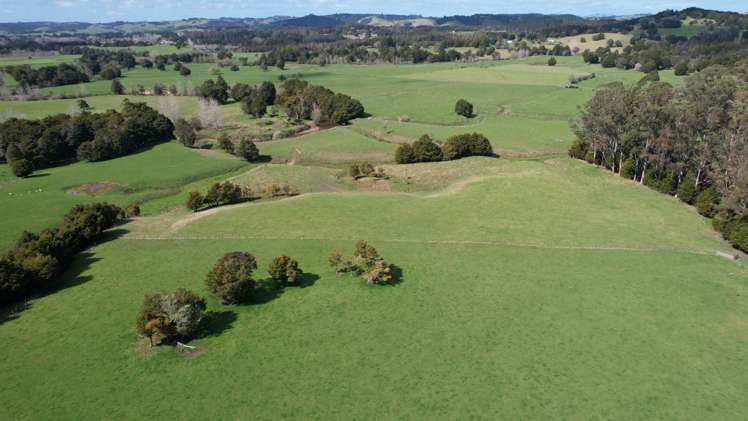 966 Te Ahu Ahu Road Kerikeri Surrounds_22
