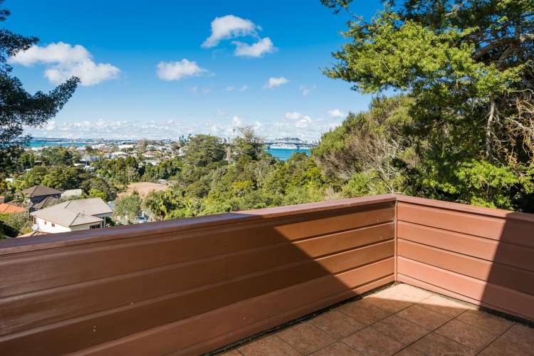 1 Bush View Lane Northcote Point_13