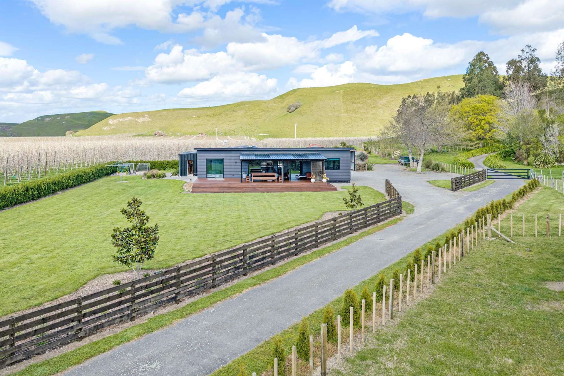 268 Moteo Pa Road Puketapu_0