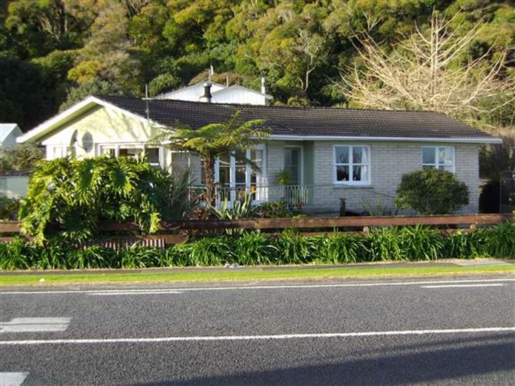 101 Ash Street Thames_26