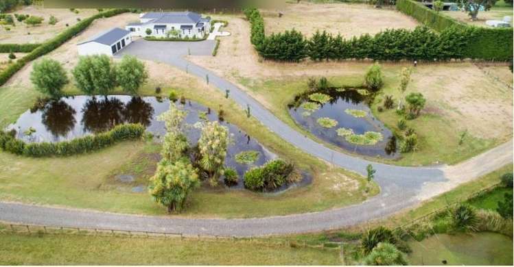 53A Wylie Road Foxton Beach_48