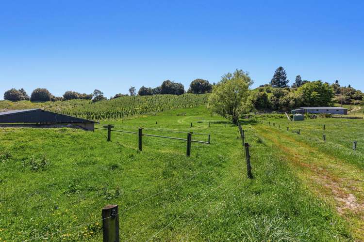 414 Matahi Road Whakatane Surrounds_23