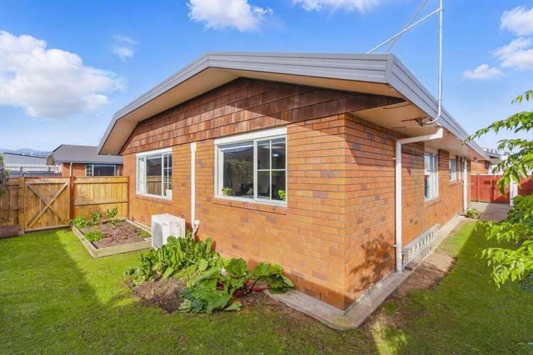 3 Surrey Lane Levin_15