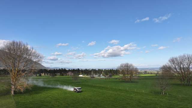 57 Ohutu Road Galatea_2