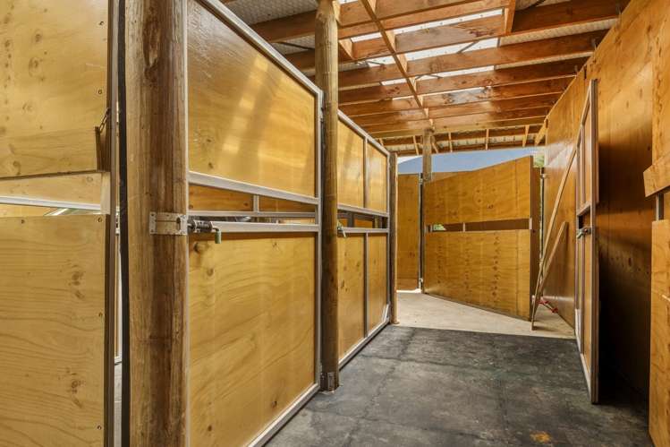 Lot 1 Anakoha Bay Marlborough Sounds_33