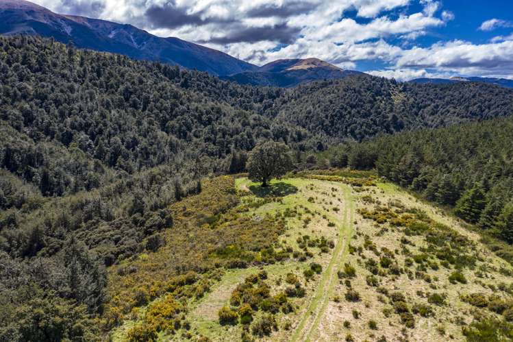 254 New Road Oxford_7