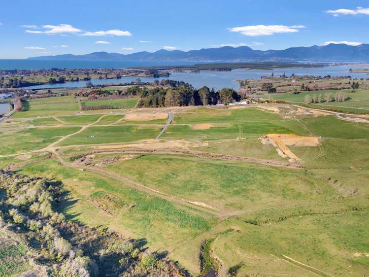 Kamana Estate Mapua_8