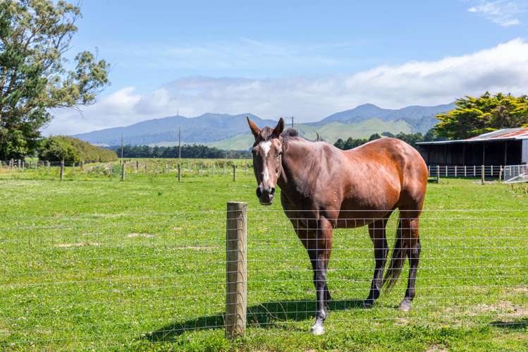 633 Kiritaki Road Dannevirke_21