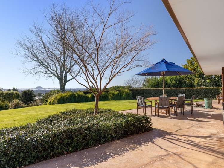 196 Whakamarama Road Whakamarama_6