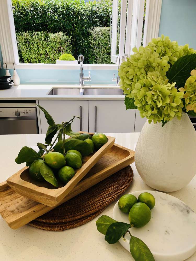 11 Vauxhall Road Devonport_22