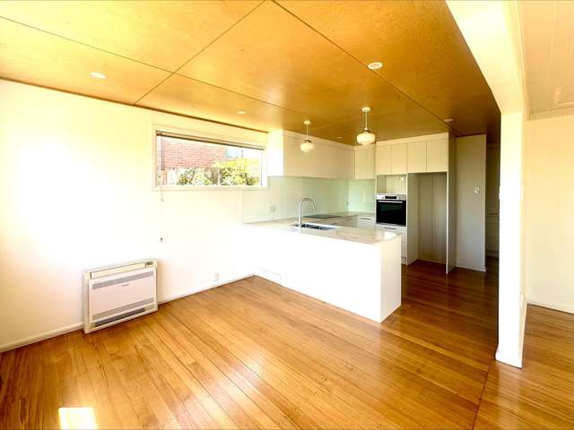 21 Tamar Street Oamaru_3