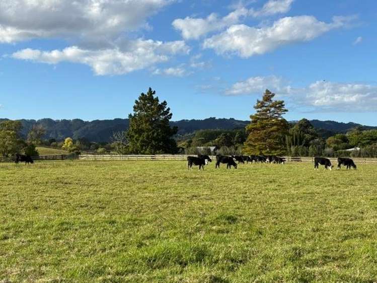 1166 Leigh Road Matakana_12