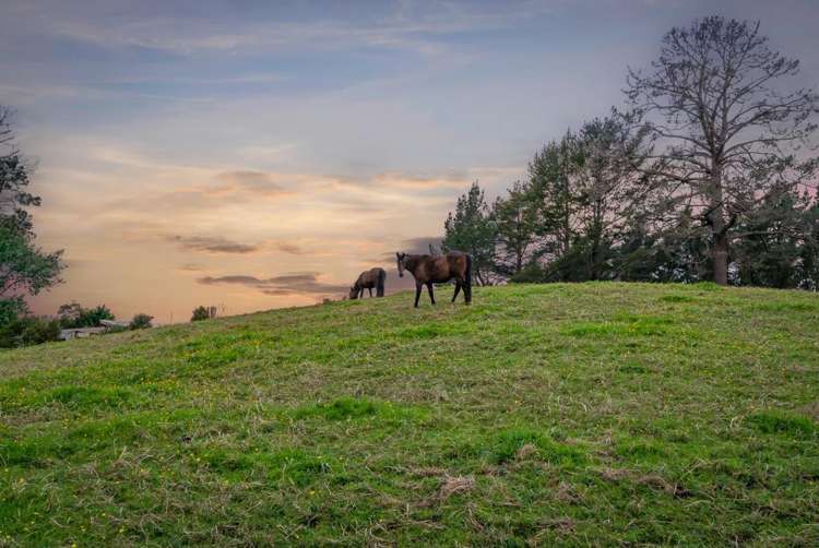 325 Hepburn Creek Road Warkworth_18