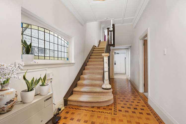 19 Palmer Street Aro Valley_3