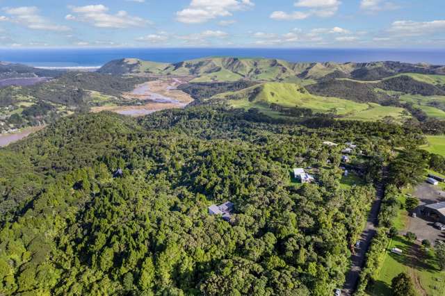 127 Jonkers Road Waitakere_3