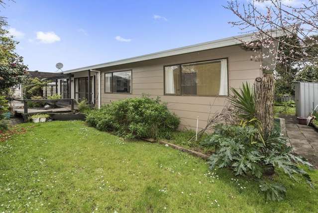 151 Totara Drive Pukete_1